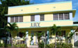 Lily Hotel