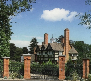 Fox Oak